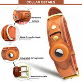 Leather Airtag Dog Collar